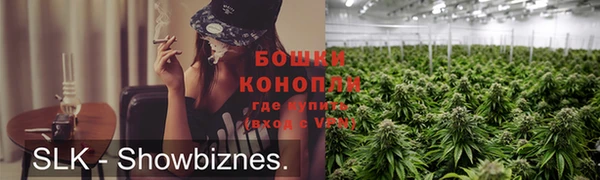 сатива Абдулино