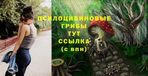 МДПВ Абаза