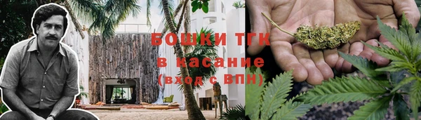 сатива Абдулино